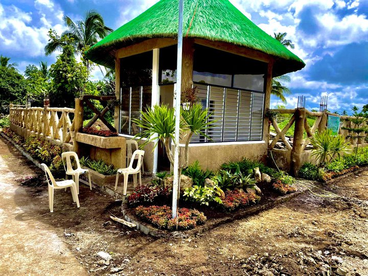 Farm lot and Residential for Sale in Alfonso Cavite