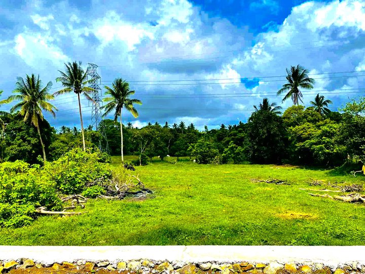 Farm lot located at Upli Alfonso near Royale Tagaytay