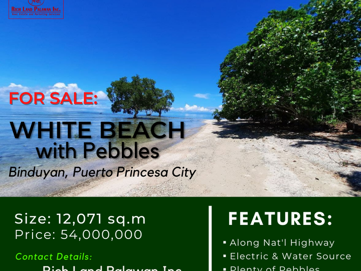 1 Hectare White Beach in Puerto Princesa City Palawan