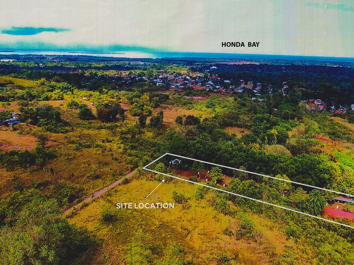 PRIME LOTS FOR SALE IN MILLIONAIRES ROW, BRGY. STA. MONICA PUERTO PRINCESA CITY!