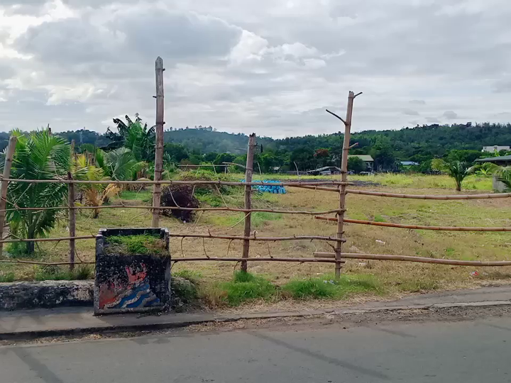 Refreshing Farm Land FOR SALE in Cardona Rizal!!!