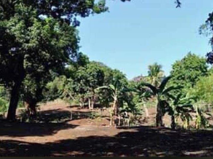 FARMLAND For Sale In Tanay Rizal! [Lot 🚜] (September 2021) in Tanay