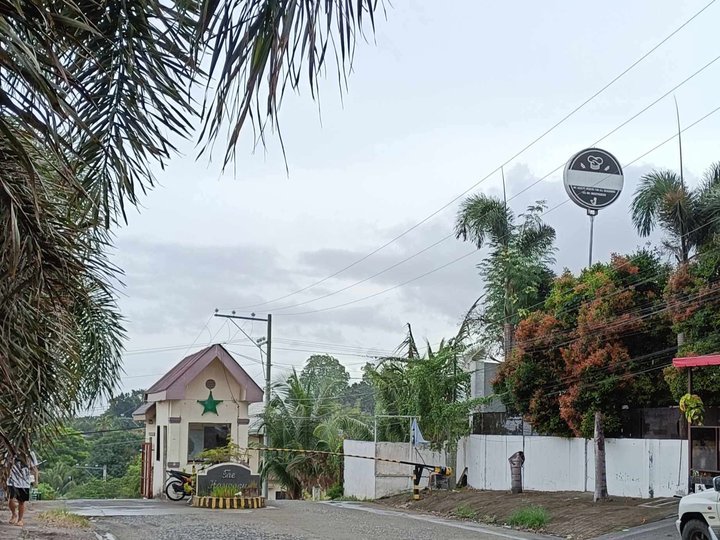 239 sqm Residential Lot For Sale in Harmony Subdivision. Davao City