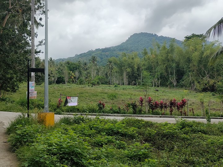 A stunning lot in Casile, Dauin, Negros Oriental, just a 35-minute drive from Dumaguete City.
