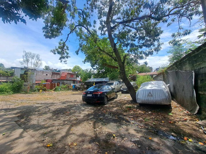 Prime 466 SQM Residential Lot for Sale in Brgy. Bilibiran, Binangonan Along Sto. Nino St.