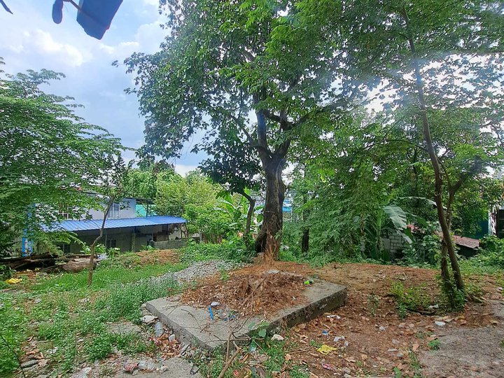 400 SQM Residential Lot for Sale in Novaliches QC Near SM, Robinsons, TV5