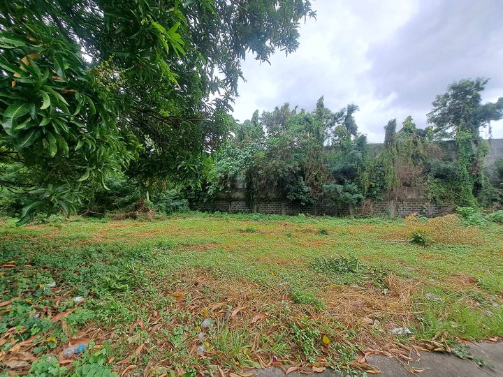317 sqm. Residential Lot For Sale in Golden Meadows Executive Village, Binan, Laguna