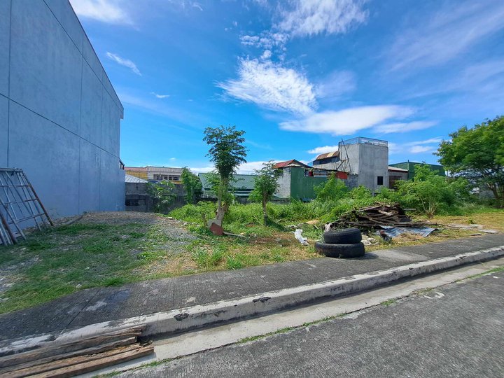 150 sqm Residential Lot For Sale in Meadowood Executive Village, Bacoor, Cavite