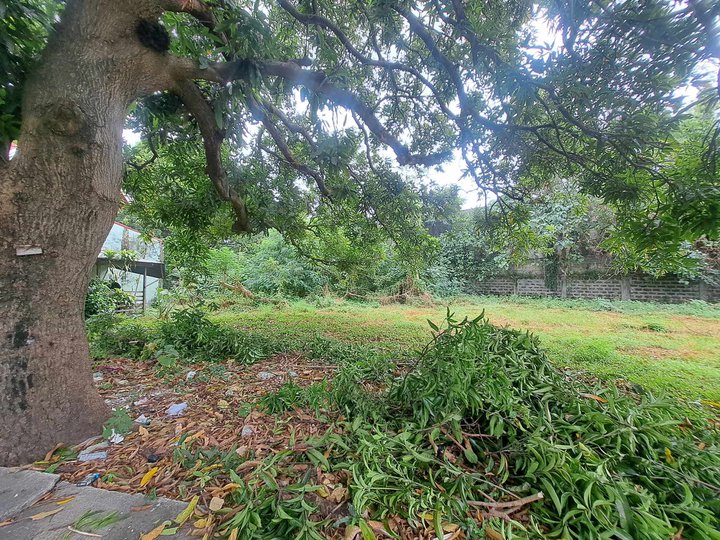 398 sqm. Residential Lot For Sale in Golden Meadows Executive Village, Binan, Laguna