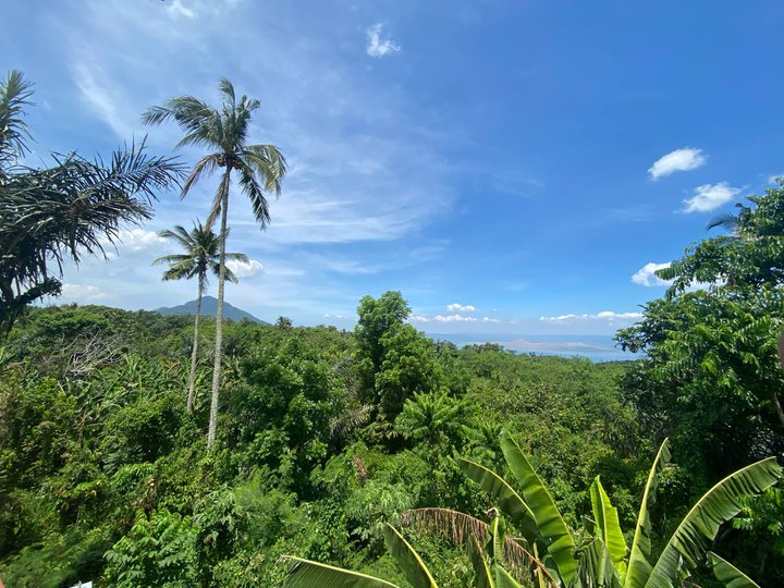 300 sqm Residential Lot For Sale in Lauan Ridges Lipa Batangas Block 3 Lot 3