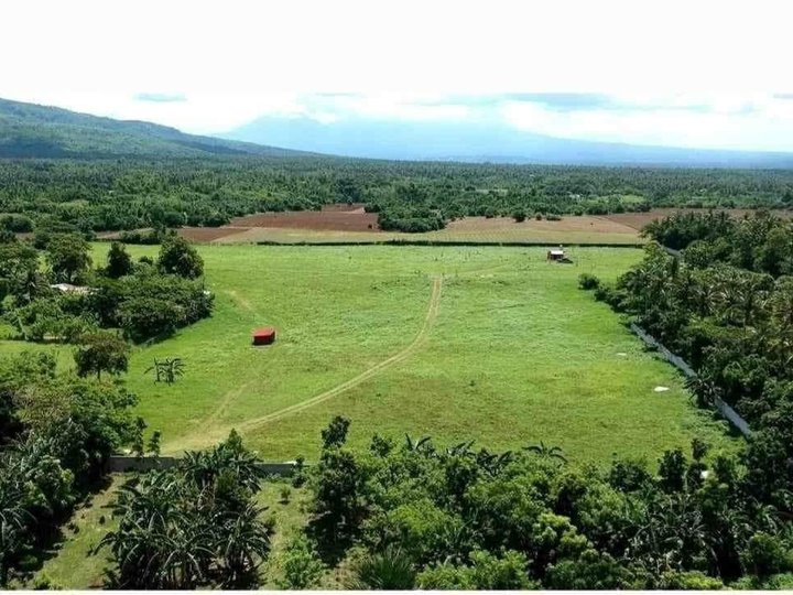 5 hectares Agricultural Farm with house For Sale in Lipa Batangas