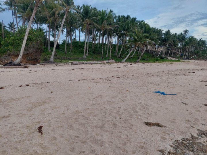 Beachfront Lot for Sale  Ready for Resort or Private Development