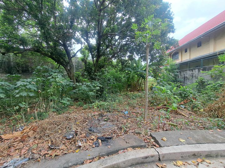 302 sqm. Residential Lot For Sale in Golden Meadows Executive Village, Binan, Laguna