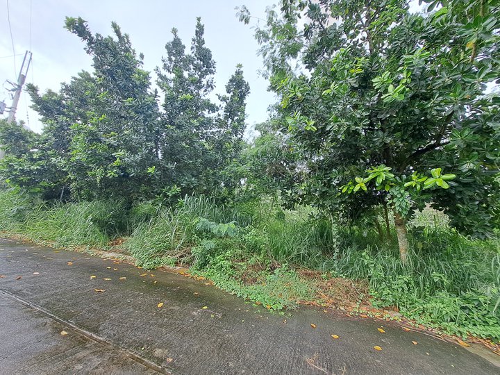 115 SQM Residential Lot for Sale in Canyon Ranch, Carmona City near Dasma, SLEX, CALAX, Nuvali