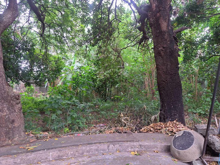 387 sqm. Residential Lot For Sale in Golden Meadows Executive Village, Binan, Laguna