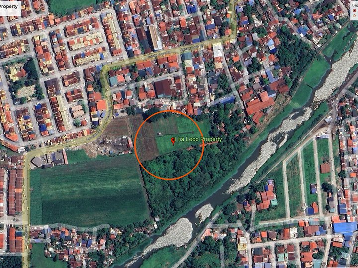 1 hectare Commercial Land For Sale in Looc Calamba Laguna