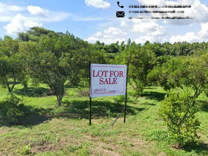 LOT FOR SALE : 100 Sqm Residential Farm For Sale in Maugat East Padre Garcia Batangas