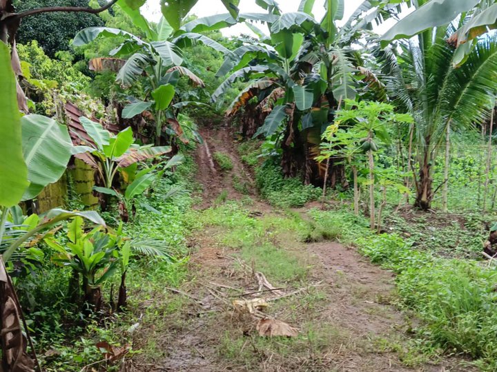 3,000 sqm Residential Farm For Sale By Owner in Norzagaray Bulacan