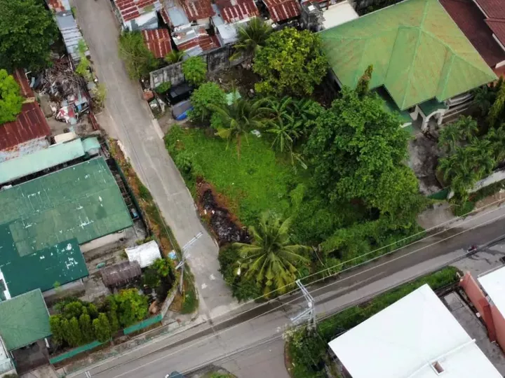 Peace Valley Commercial Lot 295sqm Lahug Cebu City For Lease