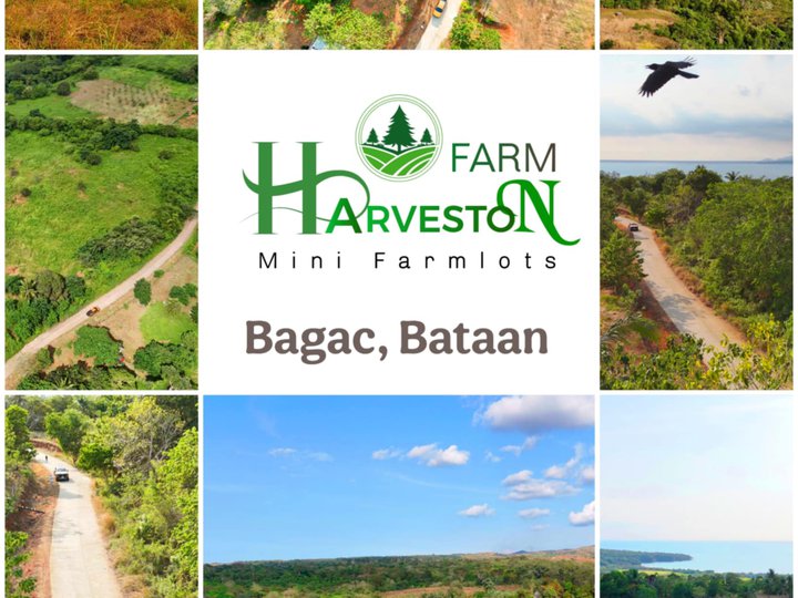 Subdivided Farm lot for sale in Bagac Bataan near in Beach resort