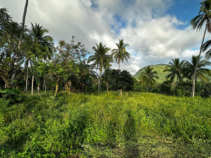 FARM LOT FOR SALE DOLORES, QUEZON