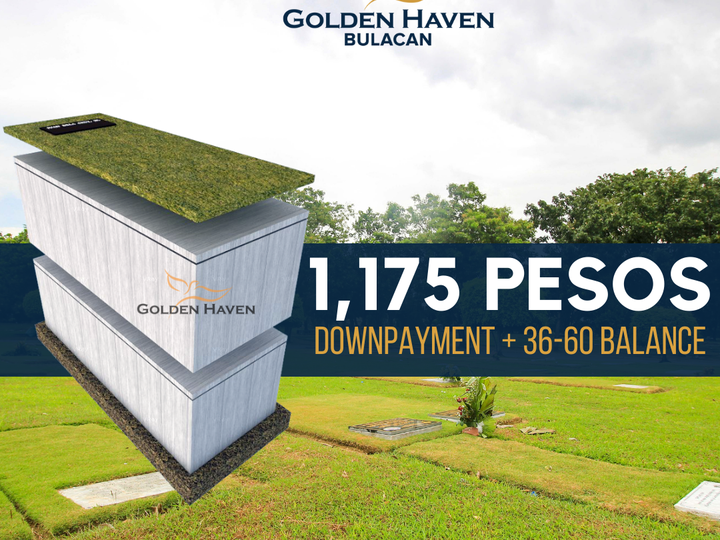 Lawnlot Investment in Golden Haven Norzagaray