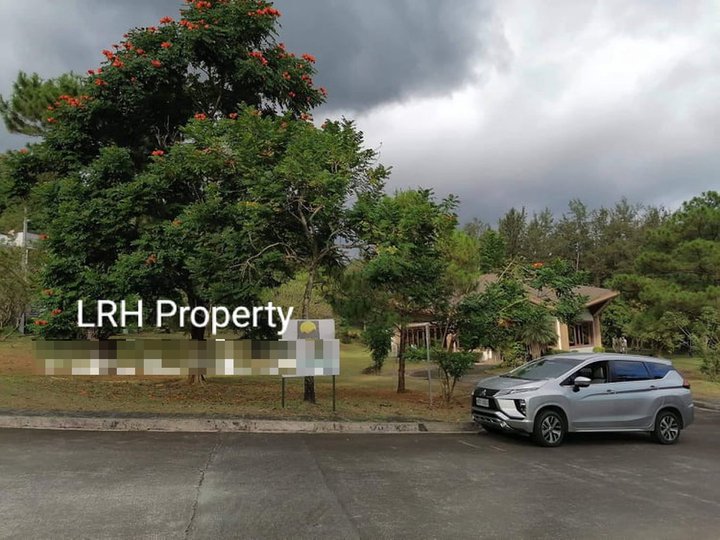 FOR SALE: 421.0sqm PRIME RESIDENTIAL LOT IN ANTIPOLO CITY-VERY NICE LO