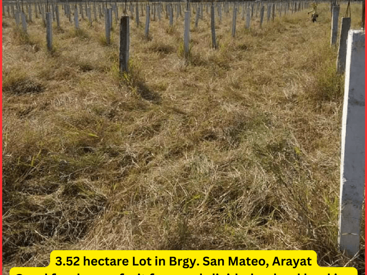 Quiet and Secluded 3.52 hectare Farmland For Sale in Arayat, Pampanga!