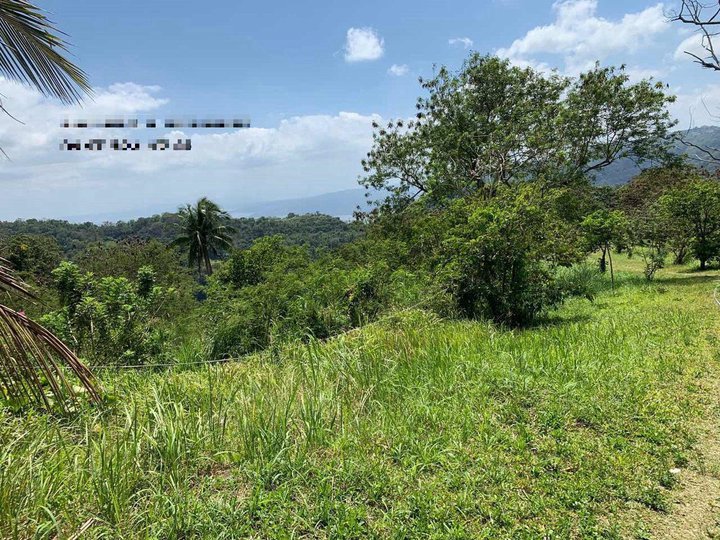 LOT FOR SALE @ OVERLOOKING TAGAYTAY