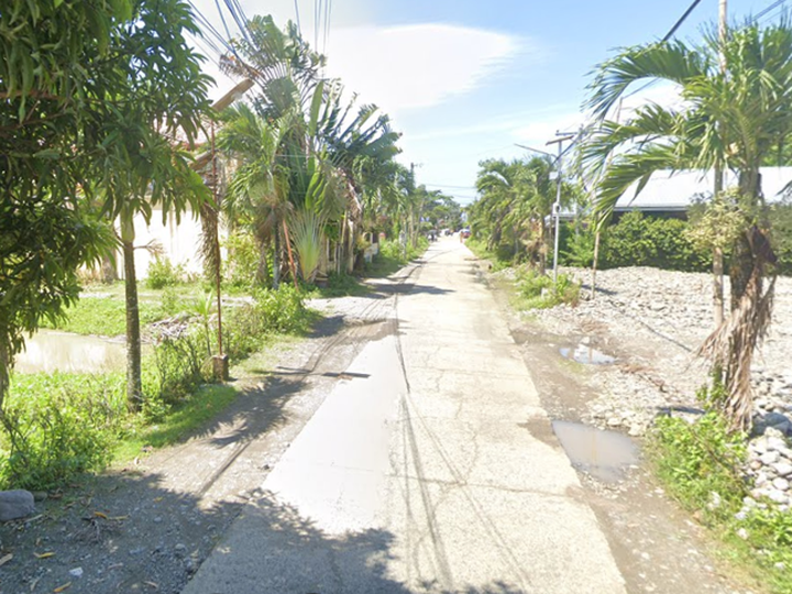 Commercial Lot For Sale in San Jose De Buenavista Antique