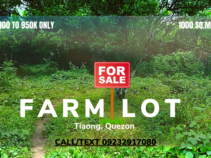 1000 sqm Farm For Sale in Tiaong Quezon