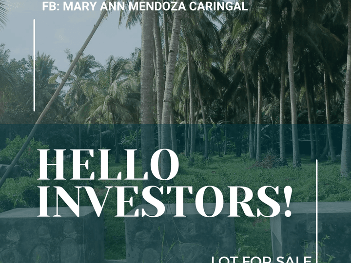 LOT FOR SALE ALONG ECOTOURISM ROAD in San Isidro Candelaria Quezon