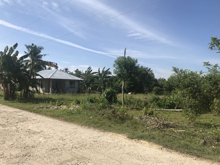 Panglao Is. Lot for Sale or Lease 1240 SqM. - Commercial Residential