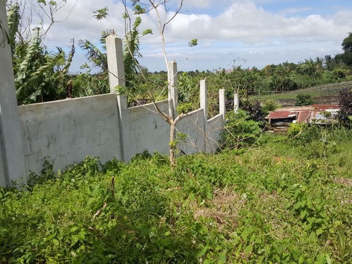 214 sqm Vacant Lot for Sale in Tagaytay City