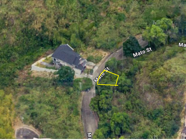 314 sqm Lot in Vista Grande  Negotiable Price in a High-End Community - Bulacao Talisay Cebu