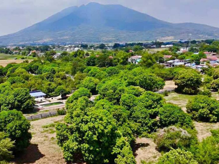 FOR SALE CORNER MANGO FARM LOT IN PAMPANGA