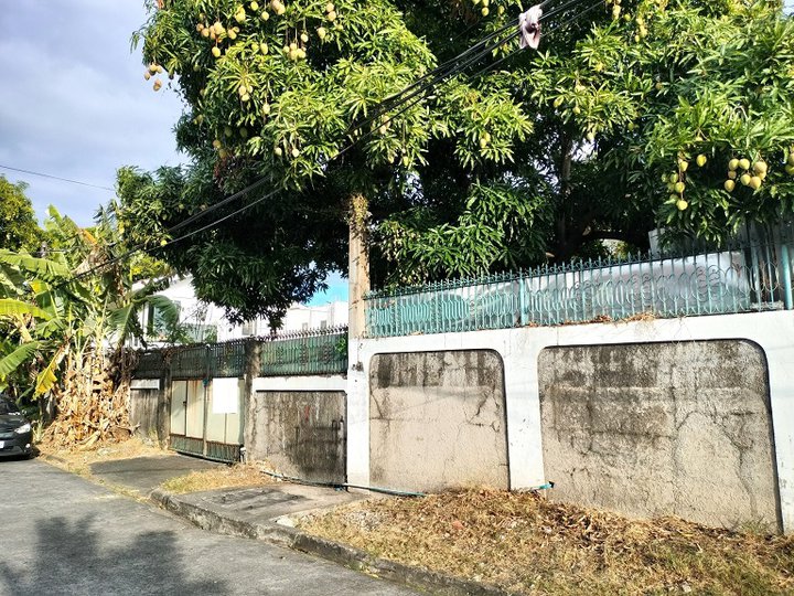 386sqm Residential lot for Sale in UPS 5 Sucat Road Paranaque City