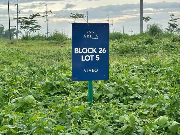 315sqm Residential lot for Sale in Ardia Vermosa Imus Cavite