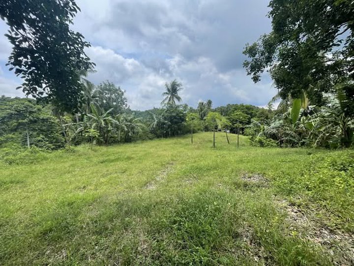 3.26 Hectares Farm Lot For Sale in Lemery Batangas