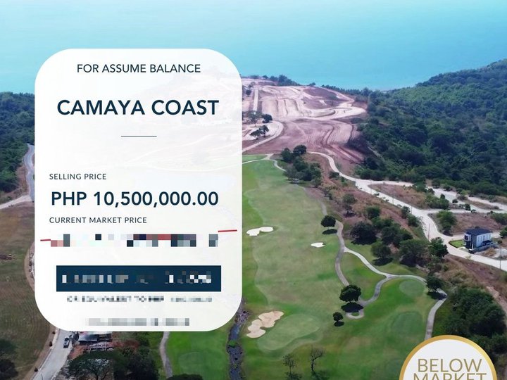 For Sale Below Market Price Lot in Golf Town Commercial, Camaya Coast - BMP0042