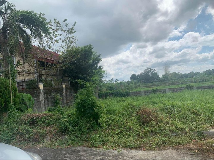 150sqm Residential lot for Sale in Southplains Exec Village Aguinaldo Highway Dasmarinas Cavite