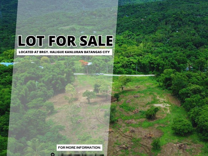 100 sqm Residential Farm For Sale in Batangas City Batangas