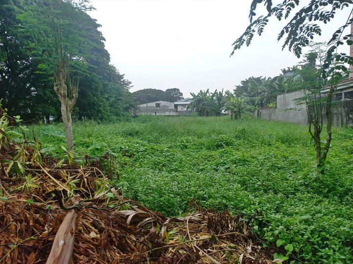 785sqm Residential lot for Sale in Multinational Village Paranaque City