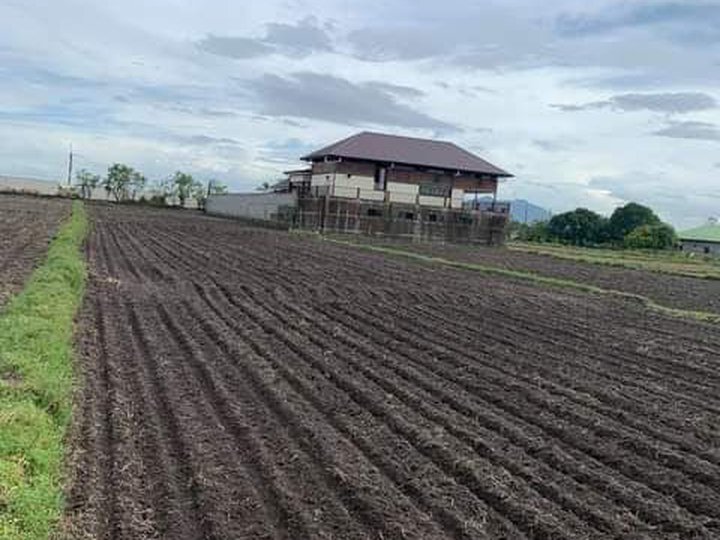 FOR SALE AGRICULTURE FARM LOT IN PORAC PAMPANGA