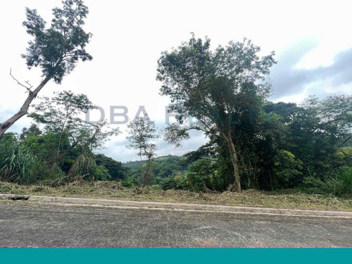 995 sqm Residential Lot For Sale in Eastland Heights Antipolo Rizal