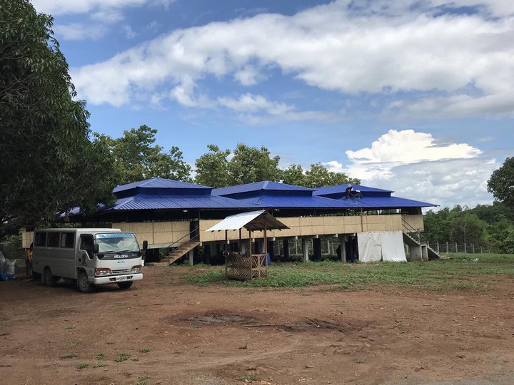 For Sale 5 Hectare Residential Farm with 3BR House in Tarlac