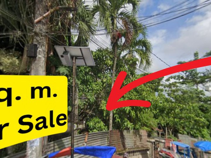 536 sqm Commercial Lot For Sale in Palo Leyte