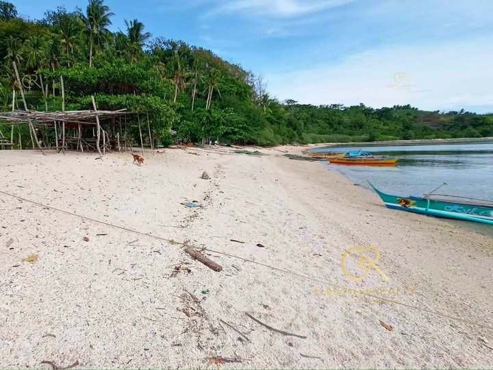 Beach Island For Sale  Magayad Oriental Mindoro - CRS0147