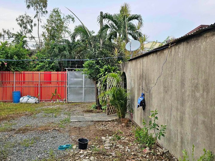 407sqm Residential lot for Sale in Multinational Village Paranaque City