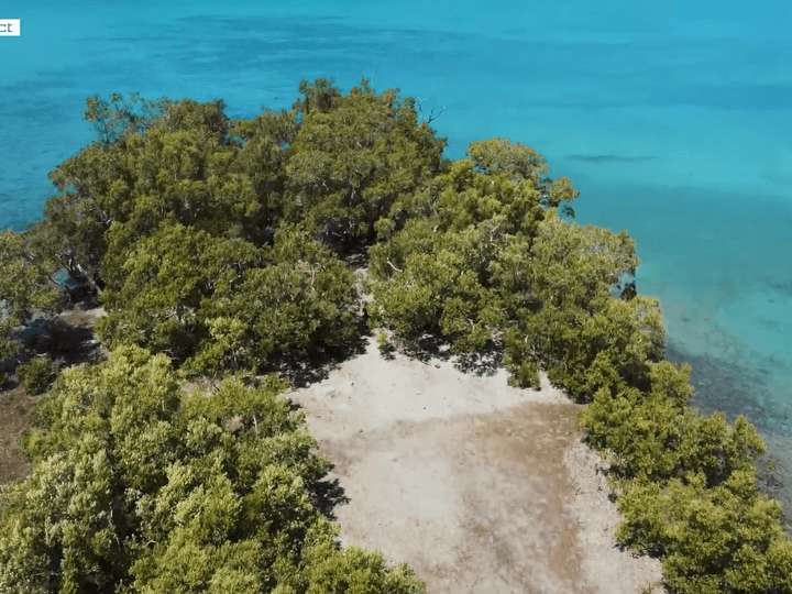 8,628 sqm Beach Property For Sale